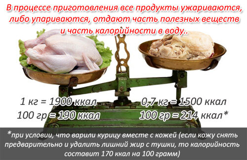 Список продуктов с отрицательной калорийностью