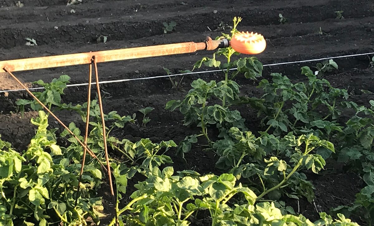 Ножки из простой проволоки.