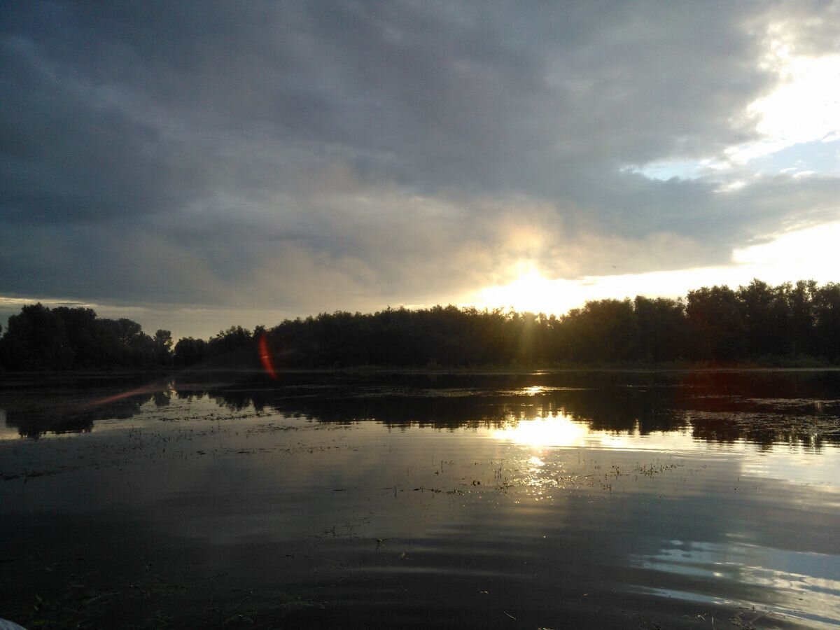 Починки рыбалка. Рыбалка в балушевых починках. Починки рыбалка. Большой чебак. Починки рыбалка.