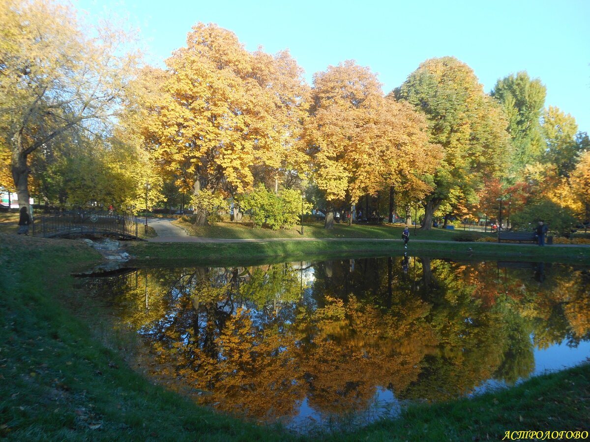 Золотая осень, фото автора