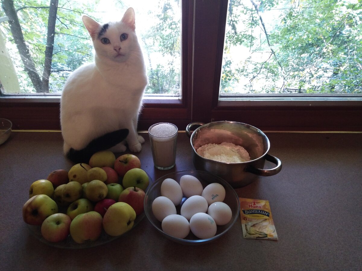 Под чутким лаповодством Велечки.