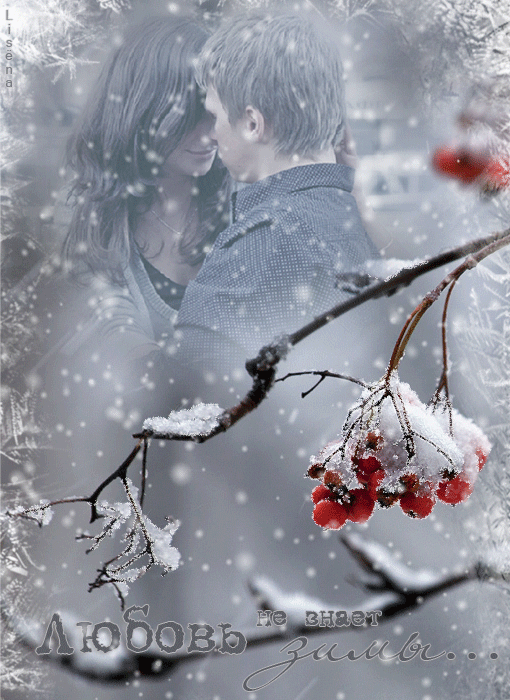  Картинка с Яндекса