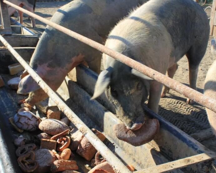 Фото https://zen.yandex.ru