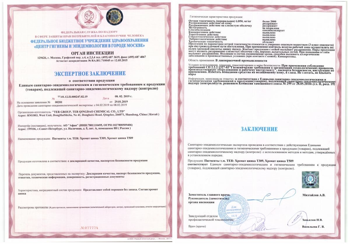 Экспертное заключение (ЭЗ)