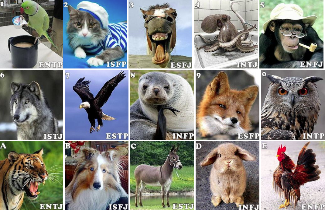 На какое из животных вы похожи по характеру?