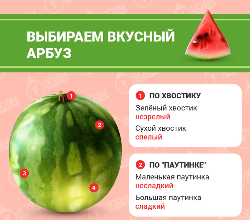 Количество витаминов в арбузе. Полезные свойства арбуза. Полезные качества арбуза. Чем полезен Арбуз. Выбрать вкусный Арбуз.