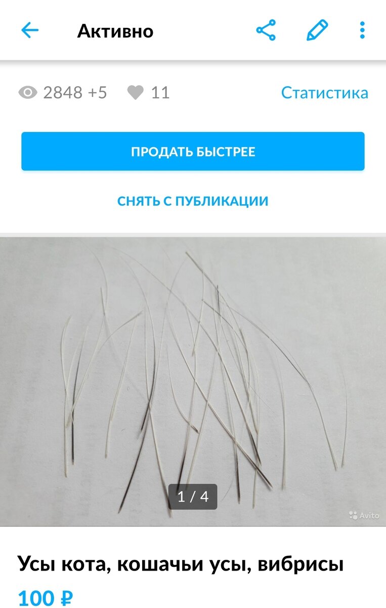 Так выглядит моё объявление 