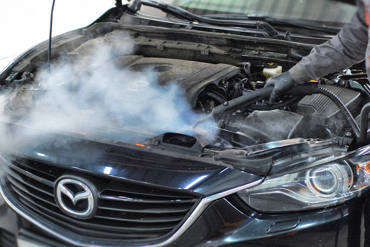 Фото взято из открытых источников