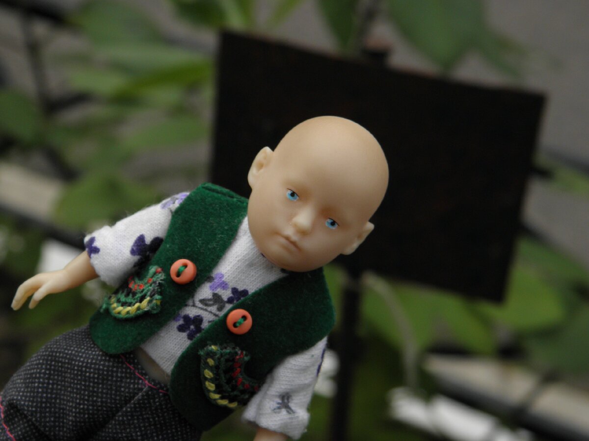 - Здрастье. Песец заболел. Велел кланяться и передавать приветы.