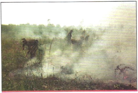                                                          Торфяной пожар