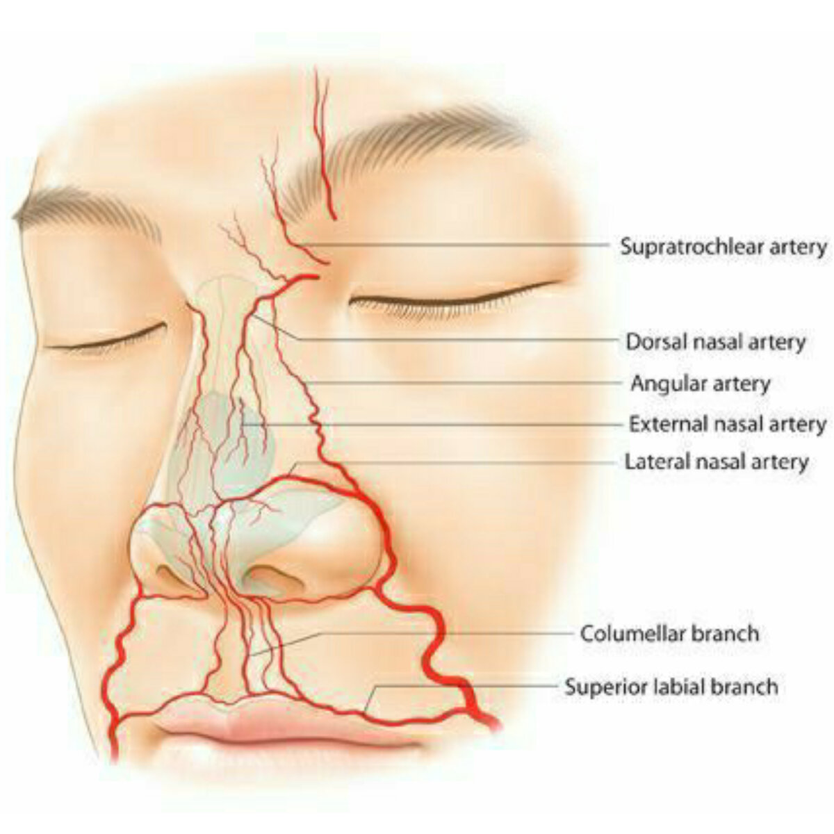 Нервные губы. Дёргается верхняя губа. Женские губы. Облизывает губы. Нервные губы.