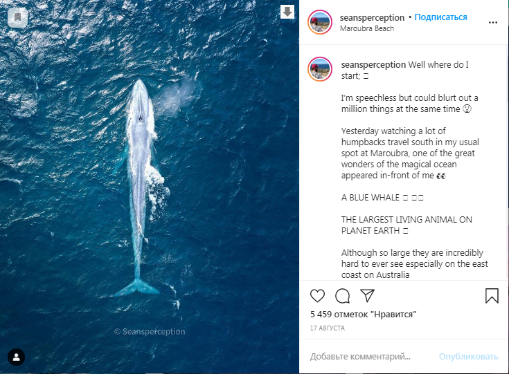 Взято у @seansperception 
