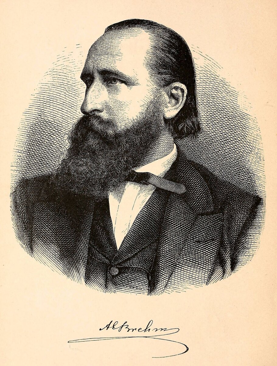 Из открытого источника.

