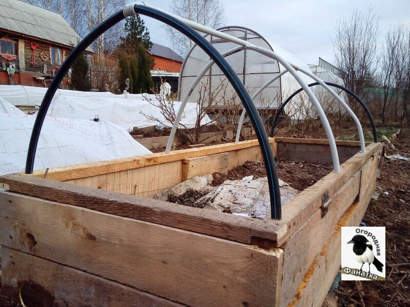 Фото грядки короба весной: за зиму его наполнение осело наполовину и пришлось добавлять и органики и почвы