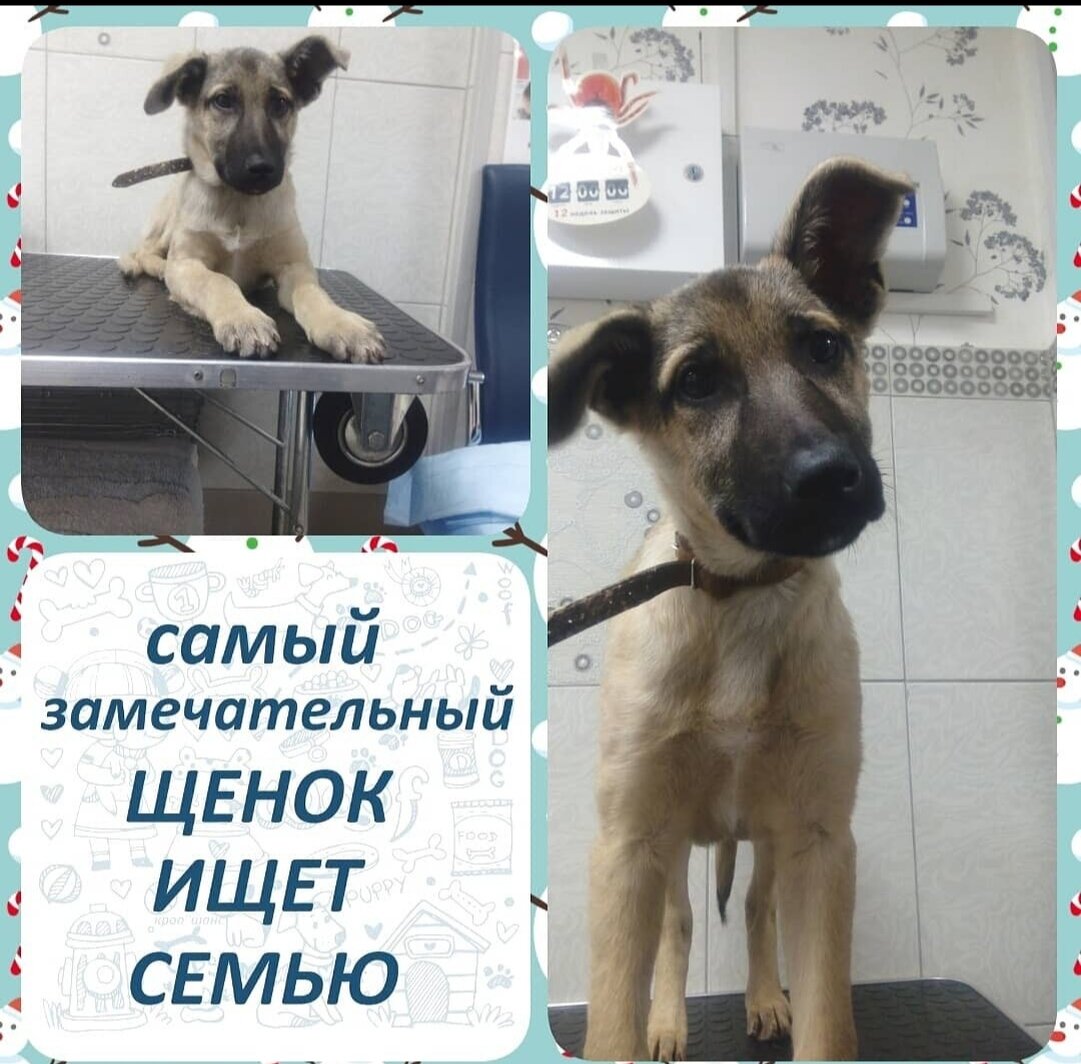 Через две недели, начало ноября