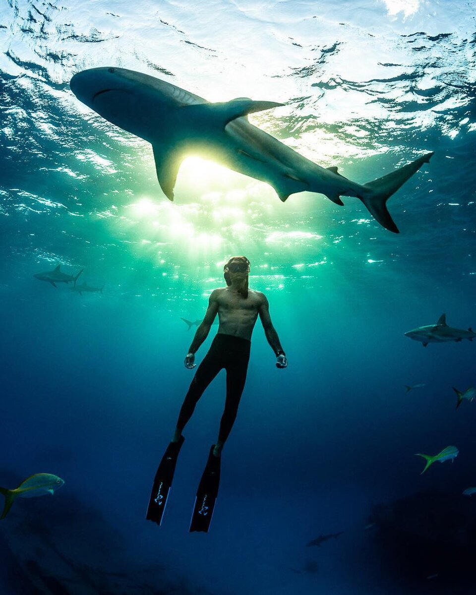 Подводный натурщик