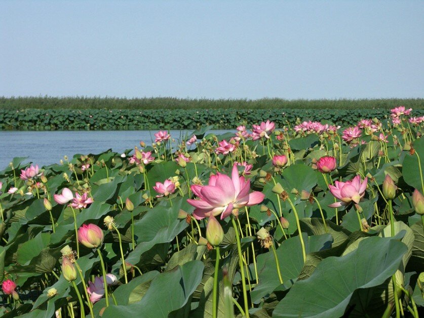 фото с открытого источника.