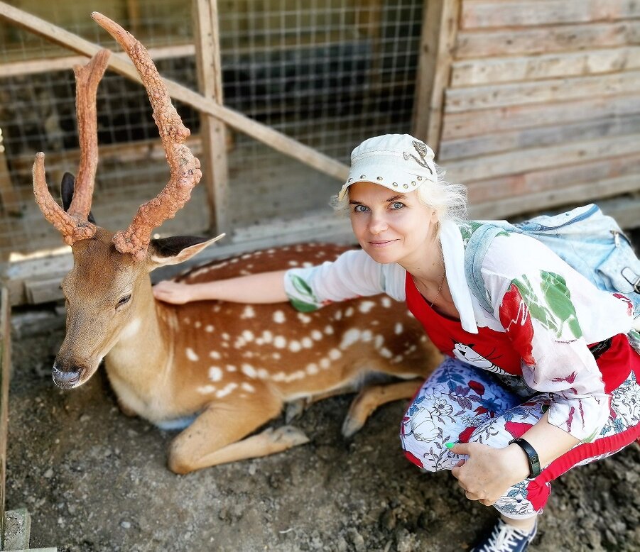 Руза. В гостях у оленей.