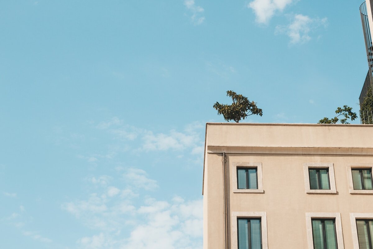 Фото: https://www.pexels.com/ru-ru/photo/2079282/