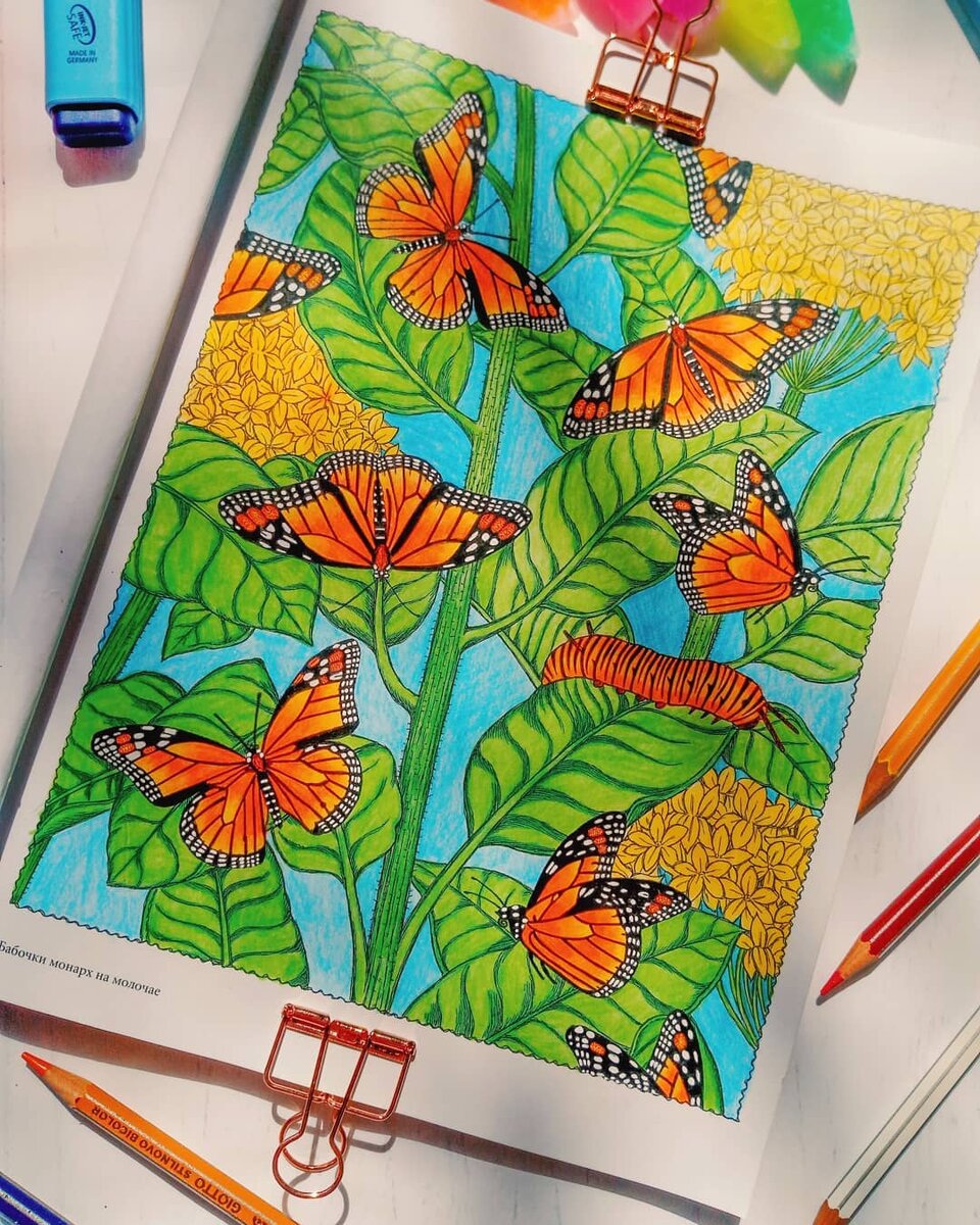 Мое фото. Одна из последних раскрашенных картинок.