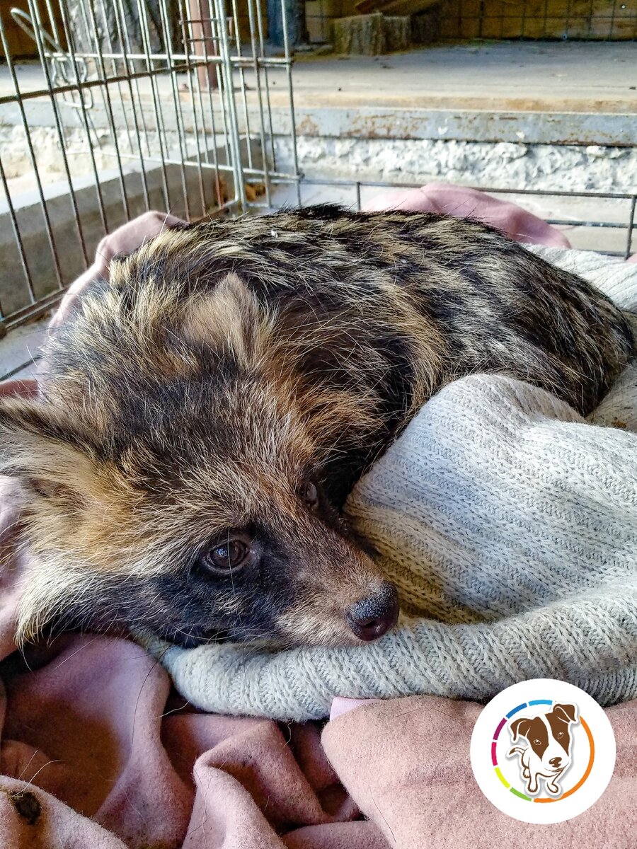 Фото: Шаталов Андрей