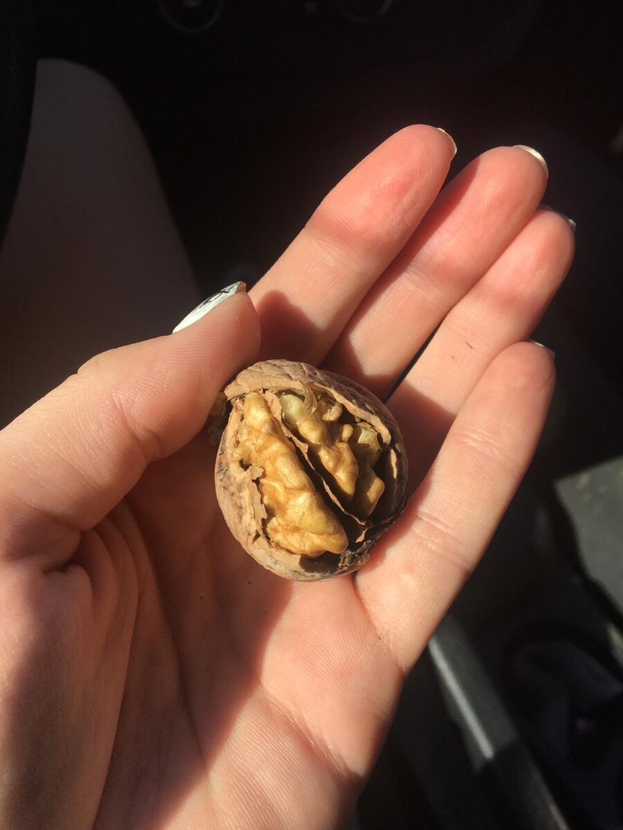 Самый вкусный, который тока поднял