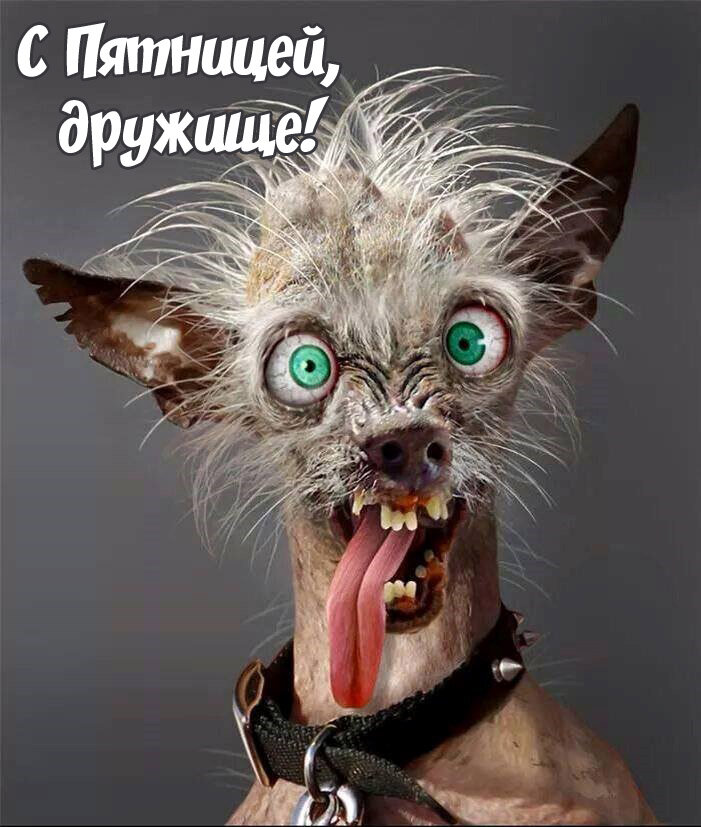 Вот так оно бывает к  концу пятницы )))) Фото с Яндекскартинки.