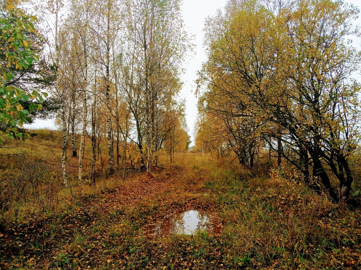 Где много красок