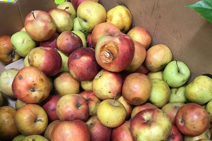 яндекс-картинки