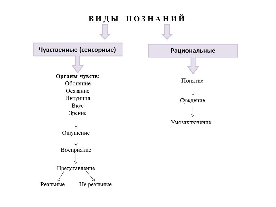 Этапы знания