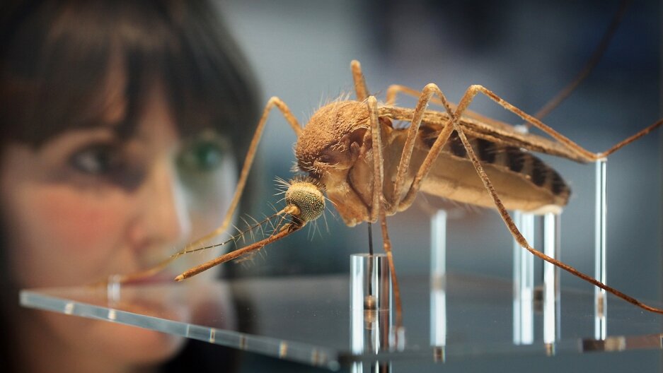 Источник изображения: pri.org