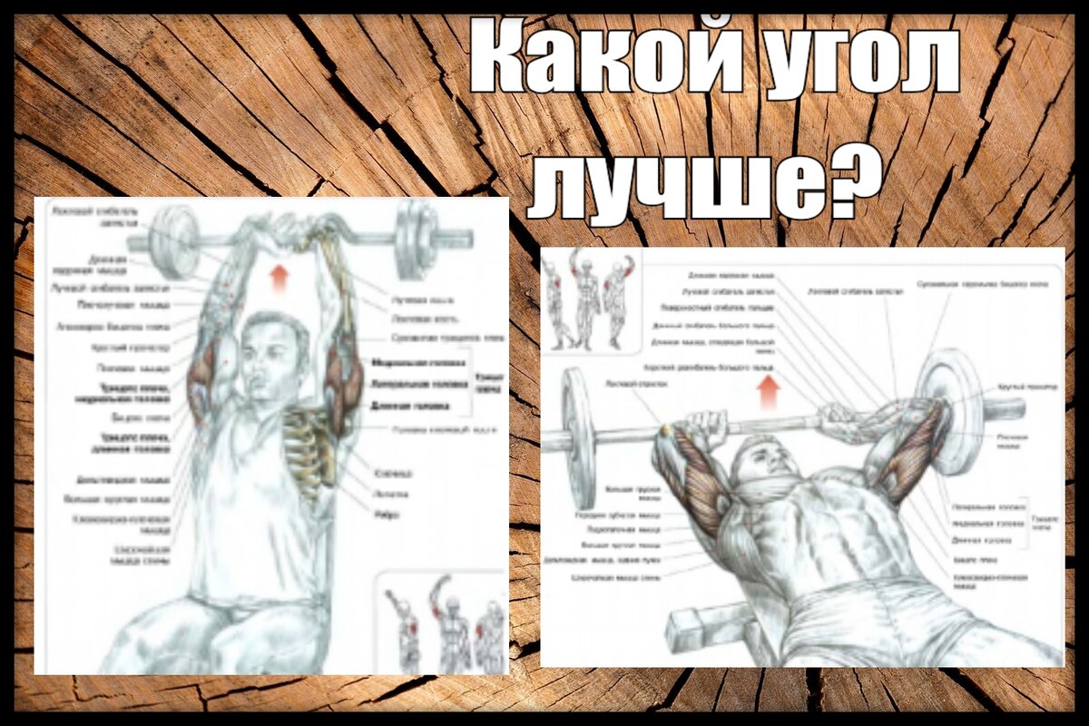 Схемы выполнения вариантов упражнения "Французский жим" - взяты из книги Ф. Дэлавье "Анатомия силовых упражнений".