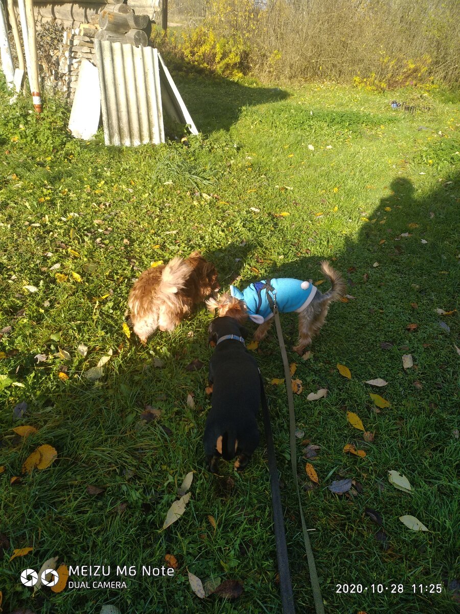 Прогулка наша затянулась,потому что солнышко проснулось...