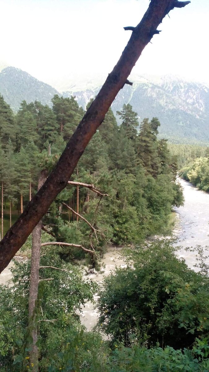 После сильных ливней в горах, вода в реке становится мутной.