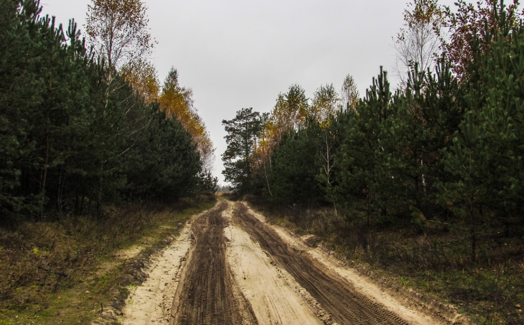 Яндекс картинки 