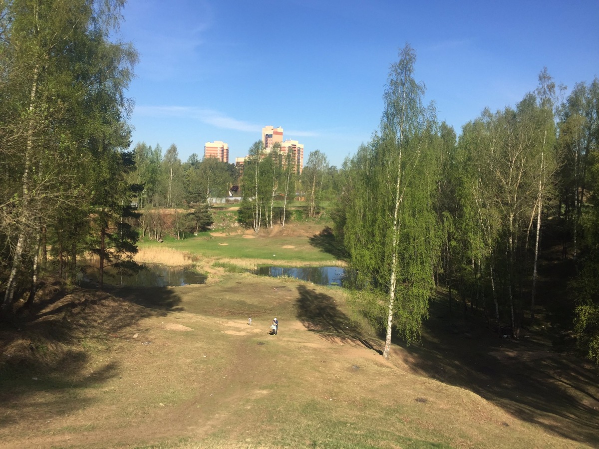 Песчанка. До и после.