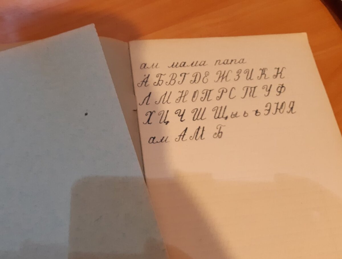 Вот такую тетрадь подарила мне недавно коллега, уходя на пенсию. Написано перьевой ручкой. Даже промокашка сохранилась. На обратной стороне тетради написано: 1968 год