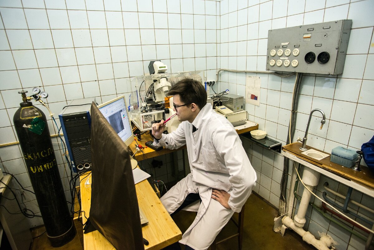 понятие жизнь в биологии. жизнь биолога. ученые россии вавилов николай иванович. биология арт. жизнь биолога.