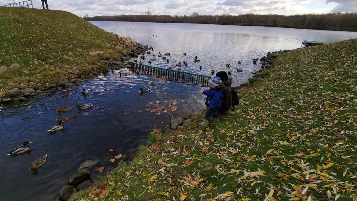 Кормим уточек в ожидании суда)))