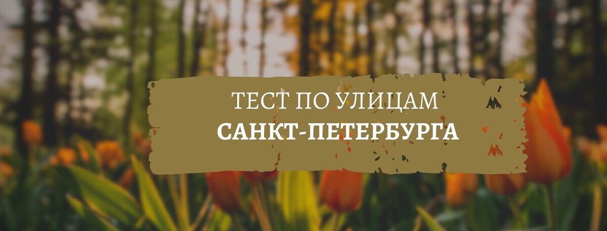 коллаж автора