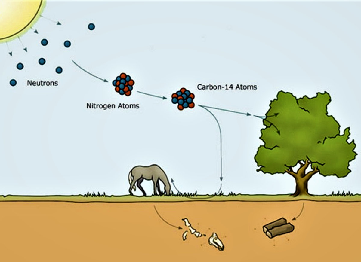 Carbon dating