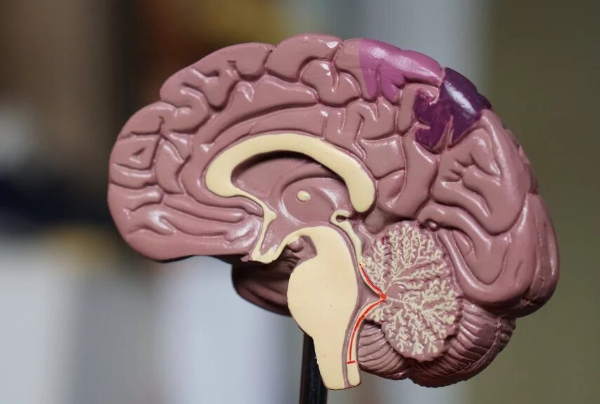 Фото: unsplash.com