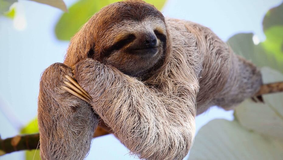 отдыхать хорошо, но не стоит углубляться до бездельничества 