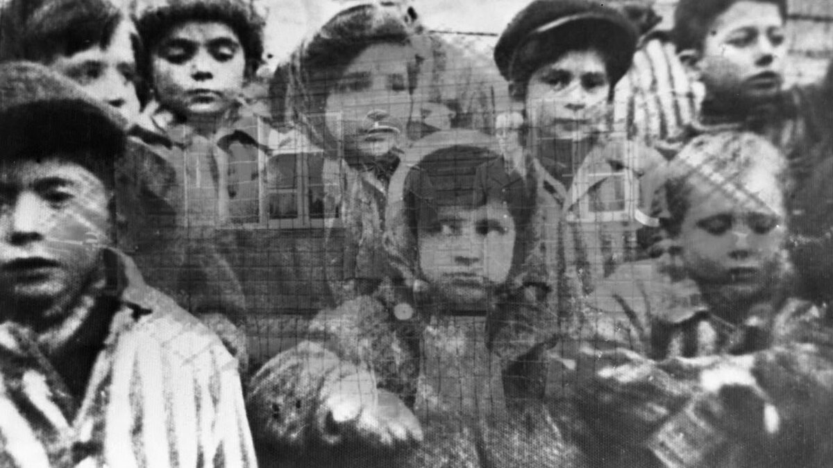 Изображение взято из открытого источника