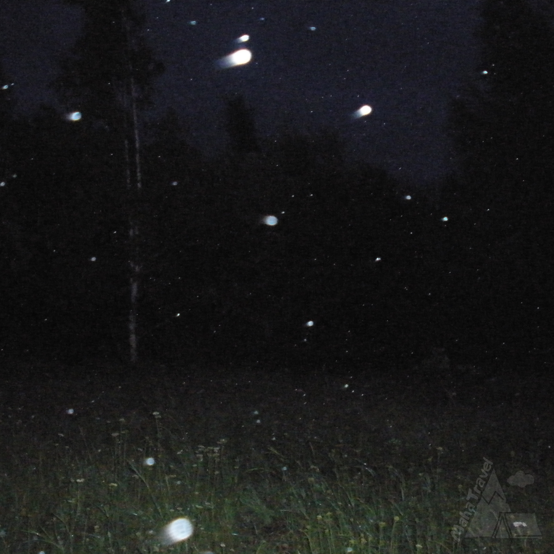 Вот такие фотографии, на которых видны белые энергетические шары.