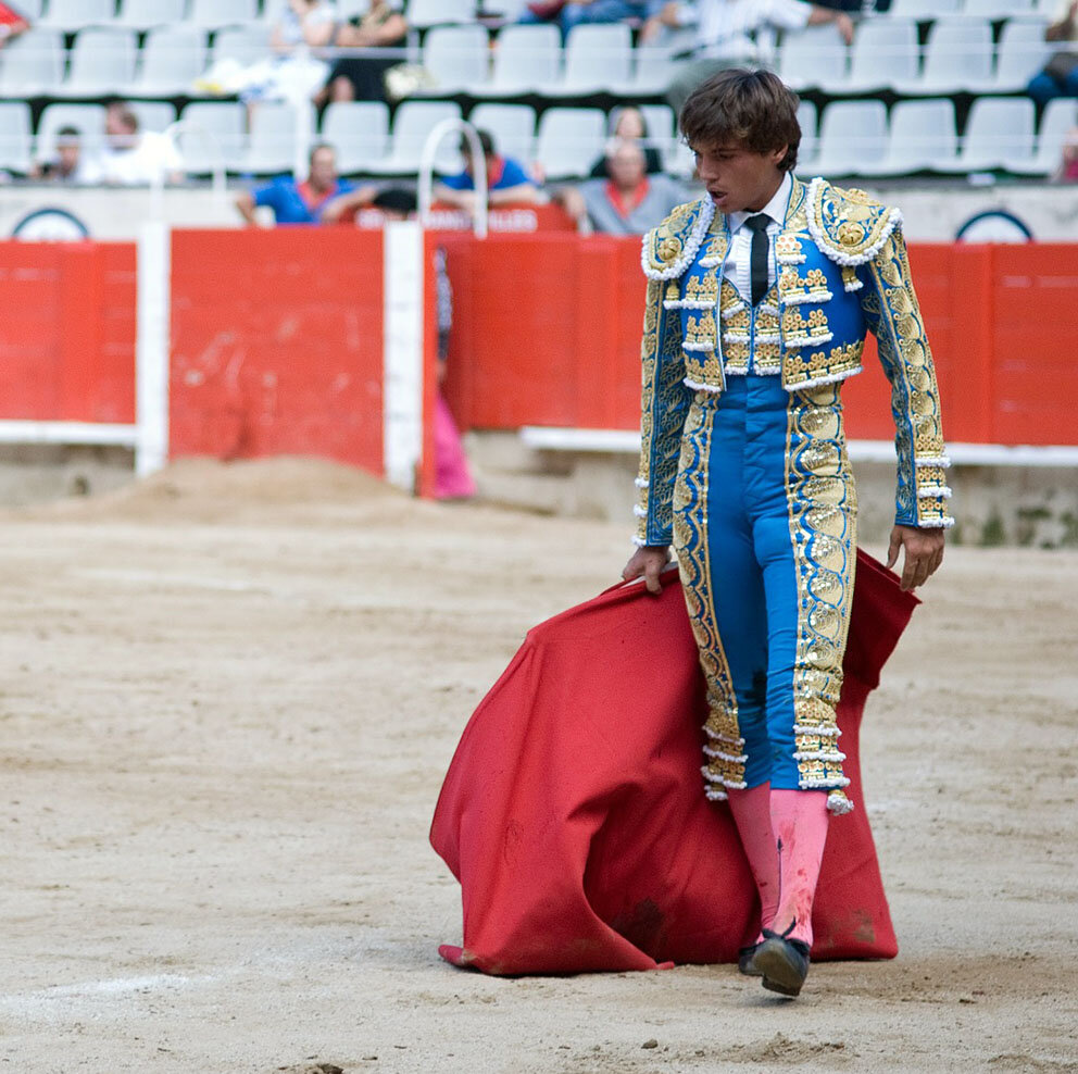 Фотография из открытого источника pixabay