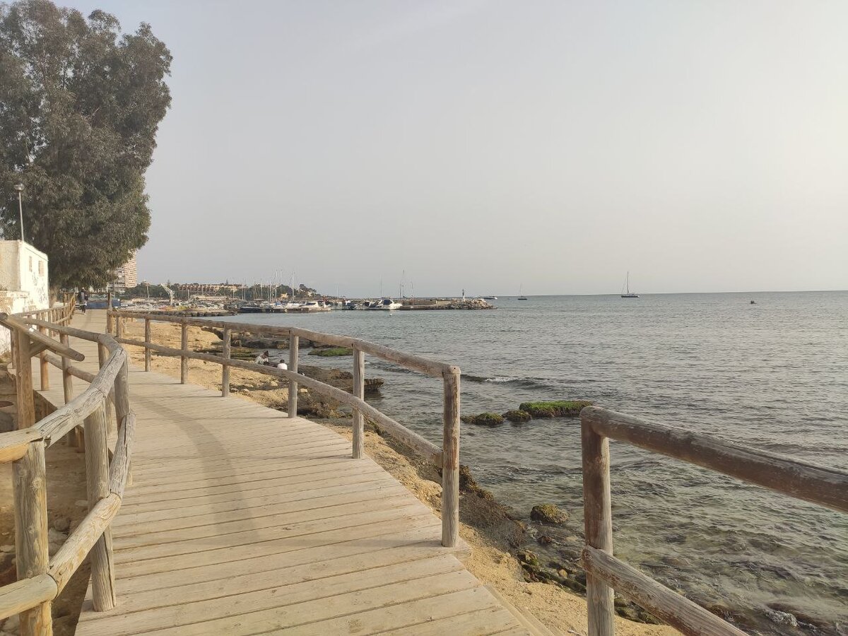 Albufereta (Alicante)