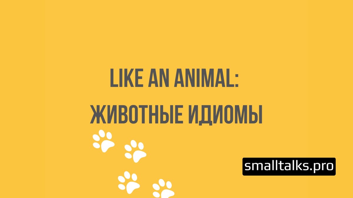 Like an animal: животные сравнения | Small Talks | Онлайн-школа иностранных  языков | Дзен