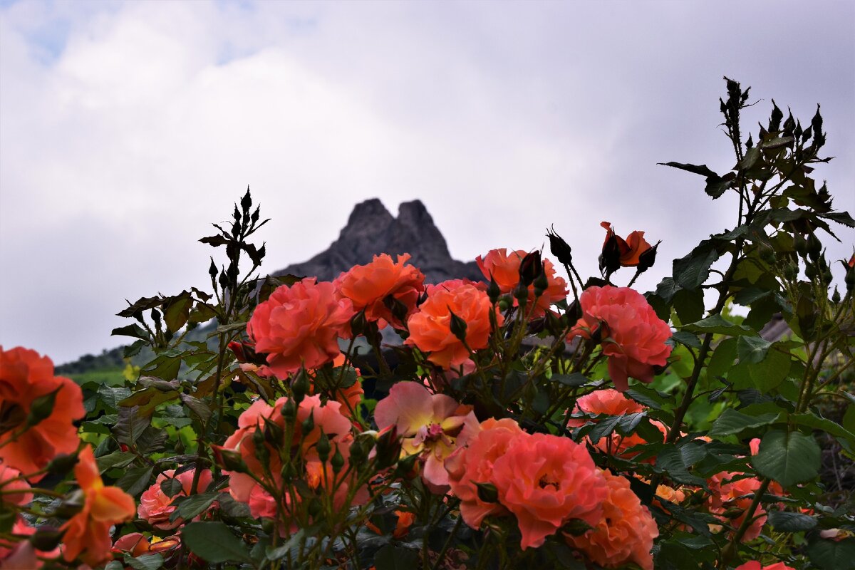 Фото (с) Туристический портал Крыма