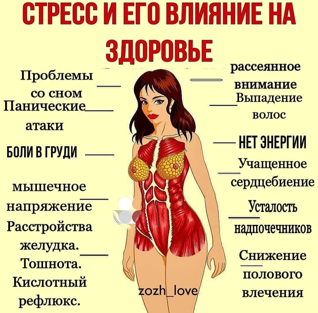 Влияние стресса на организм. Стресс и его влияние. Влияние стресса на здоровье. На что влияет стресс.